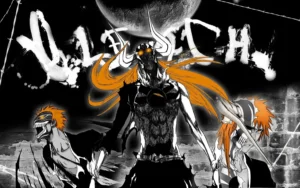 Watch Bleach in Order