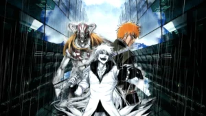 Watch Bleach in Order